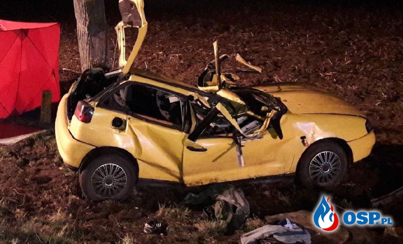 Dwóch nastolatków zginęło w wypadku pod Jarocinem. Kierowca nie miał prawa jazdy. OSP Ochotnicza Straż Pożarna