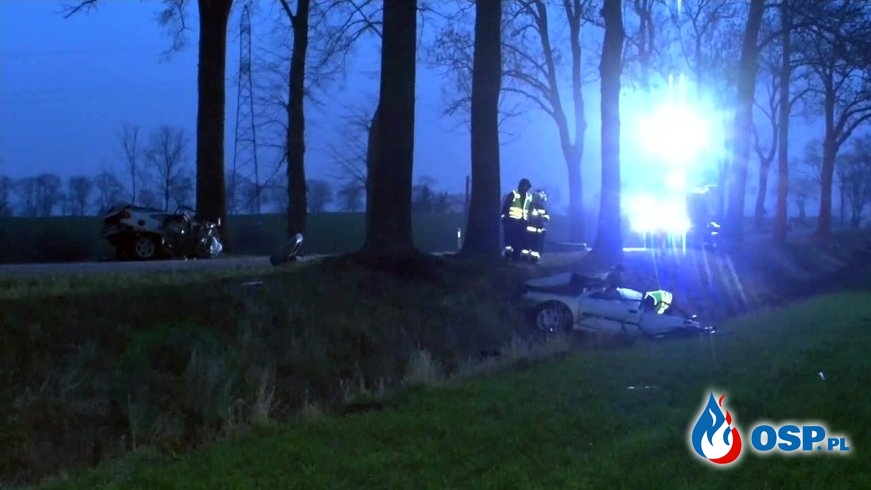 Auto rozpadło się na pół po zderzeniu z drzewem. Dwie osoby zginęły. OSP Ochotnicza Straż Pożarna