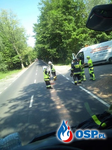 Samochód "gubił olej", po czym stanął w płomieniach. Akcja w Bytomiu-Miechowicach. OSP Ochotnicza Straż Pożarna