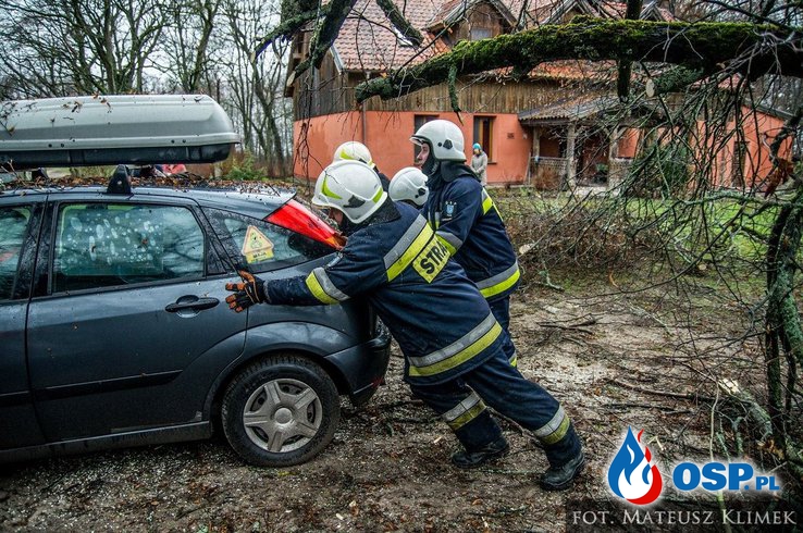 Drzewo spadło na 3 samochody OSP Ochotnicza Straż Pożarna