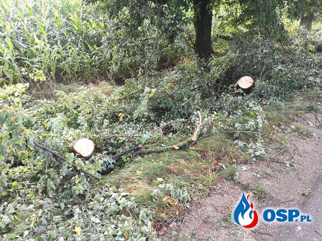 Powalone drzewa i zablokowane drogi OSP Ochotnicza Straż Pożarna