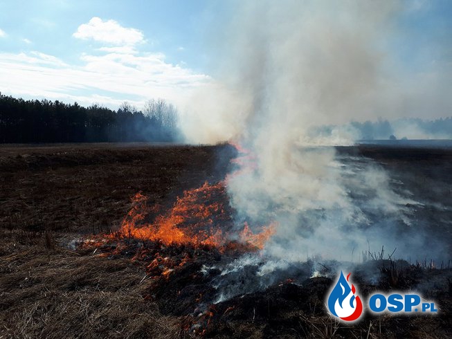 Pożar traw! OSP Ochotnicza Straż Pożarna