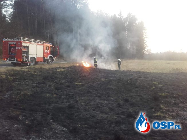 02.04 - Pożar nieużytków w Osieczowie OSP Ochotnicza Straż Pożarna