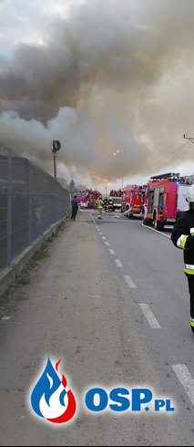 Ponad 30 zastępów strażaków gasi pożar hali produkcyjnej w Studzienicach OSP Ochotnicza Straż Pożarna