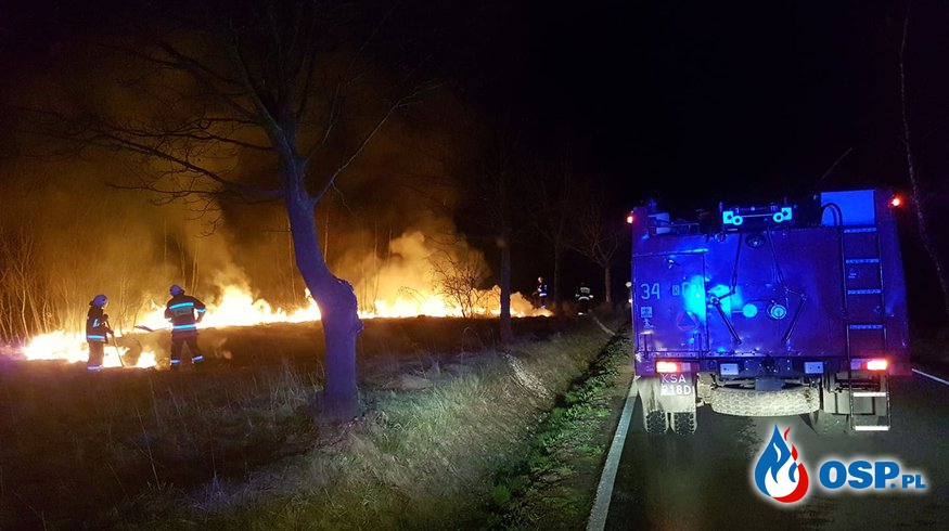Pożar traw w miejscowości Bóbrka-Pasze OSP Ochotnicza Straż Pożarna