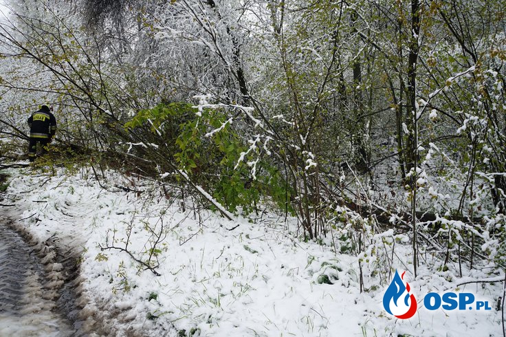 Skutki opadów śniegu na trasie Śmicz-Ścinawa oraz w Białej ul. Nyska OSP Ochotnicza Straż Pożarna