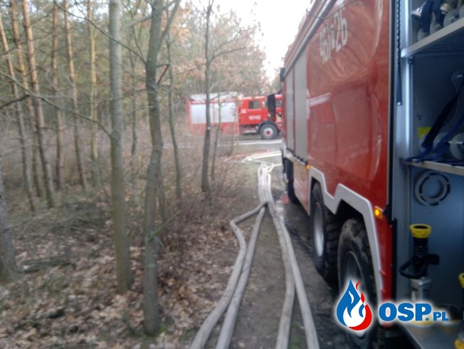 Pożar lasu w Wielisławicach - ćwiczenia OSP Ochotnicza Straż Pożarna