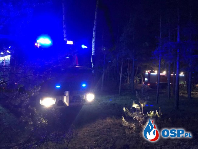 Dwa pożary w jednym lesie - Juliszewo OSP Ochotnicza Straż Pożarna