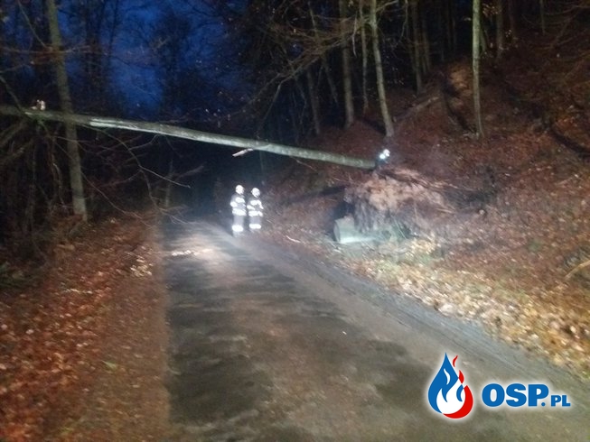 Drzewo zablokowało przejazd OSP Ochotnicza Straż Pożarna