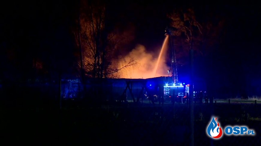 Ponad 150 strażaków gasiło pożar hal w Wielkopolsce OSP Ochotnicza Straż Pożarna