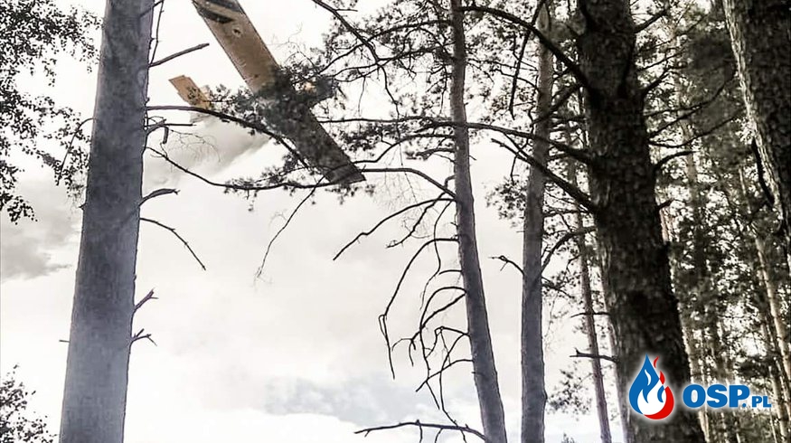 Kęszyca Leśna - Pożar lasu w akcji samolot OSP Ochotnicza Straż Pożarna
