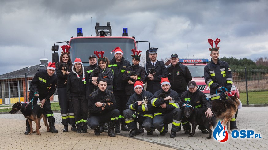 Stracy wzięli udział w charytatywnej sesji zdjęciowej OSP Ochotnicza Straż Pożarna