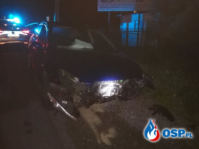 Kolizja samochodu osobowego z dzikiem - 24 sierpnia 2019r. OSP Ochotnicza Straż Pożarna