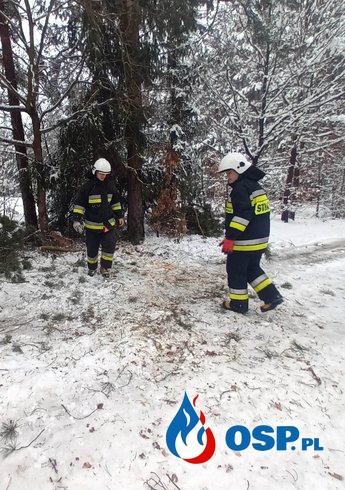 Pracowita sobota Bliżyńskich Strażaków. OSP Ochotnicza Straż Pożarna