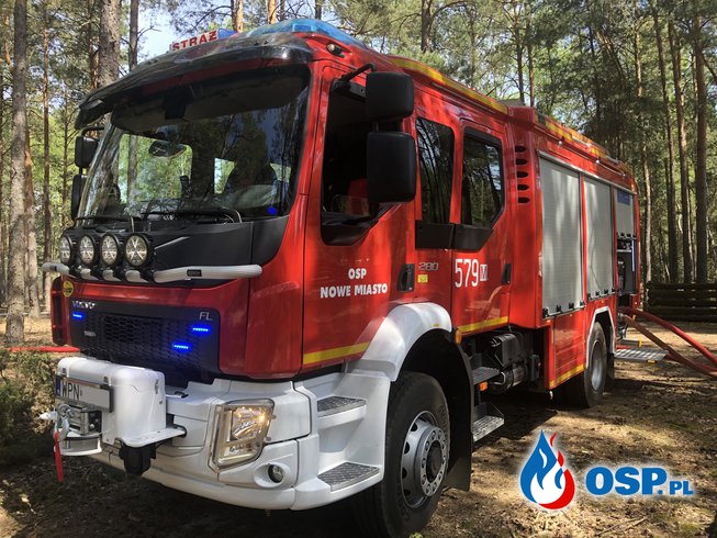Pożar lasu Bolęcin OSP Ochotnicza Straż Pożarna
