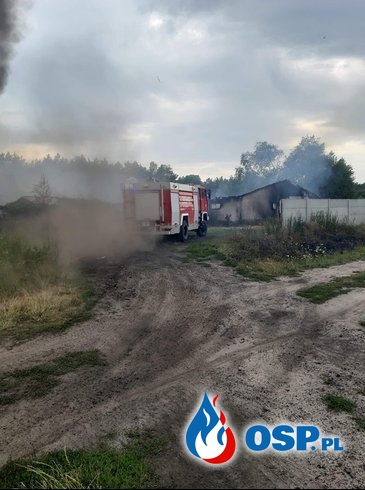 Pożar fermy drobiu w Niedźwiedziu. 18 zastępów strażaków w akcji. OSP Ochotnicza Straż Pożarna