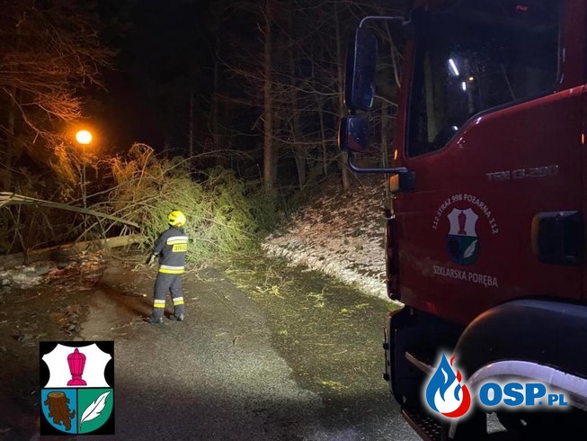 Wichura nad Polską, ponad 1100 interwencji strażaków OSP Ochotnicza Straż Pożarna