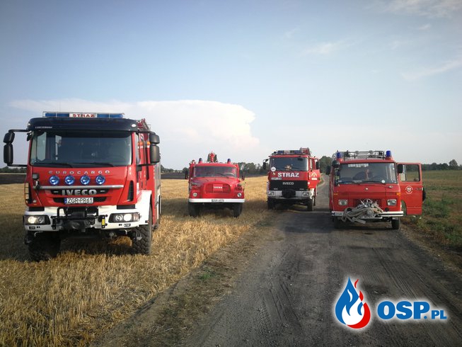 Duży pożar ścierniska oraz Szerszenie OSP Ochotnicza Straż Pożarna