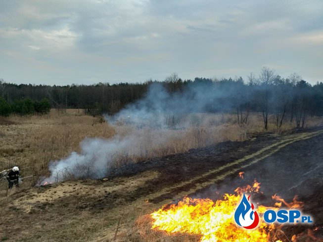 Palący PROBLEM mieszkańców Gminy Bliżyn. STOP Wypalaniu TRAW! OSP Ochotnicza Straż Pożarna
