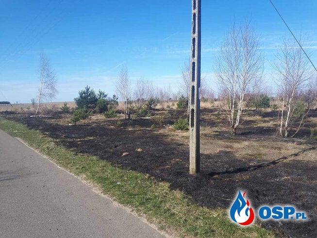 Pożar suchej trawy na nieużytkach OSP Ochotnicza Straż Pożarna
