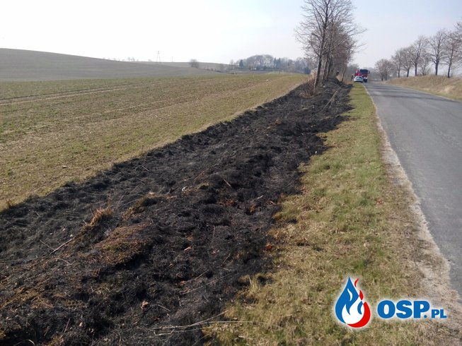 Pożar trawy w Małżewku OSP Ochotnicza Straż Pożarna