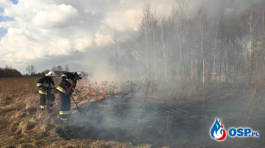Pożar traw w Bóbrce OSP Ochotnicza Straż Pożarna