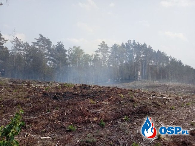 Groźny pożar na granicy powiatów OSP Ochotnicza Straż Pożarna