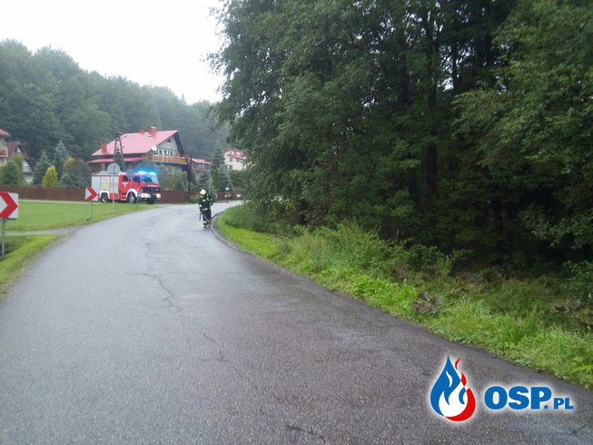 Plama Oleju oraz pomoc sąsiedniej jednostce. OSP Ochotnicza Straż Pożarna