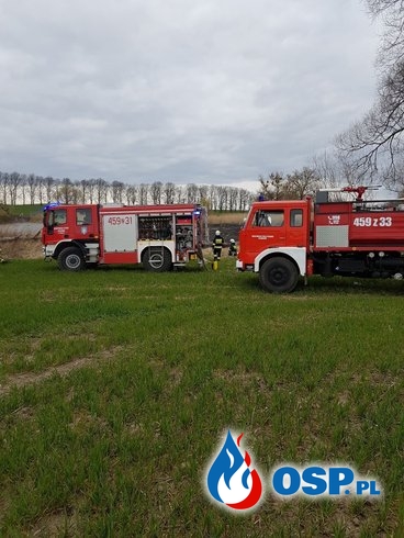 Pożar trzcinowiska w Krzymowie OSP Ochotnicza Straż Pożarna