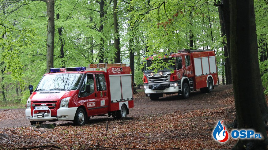 Ćwiczenia w Lesie Czyżowickim. OSP Ochotnicza Straż Pożarna