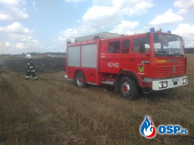 Pożar ścierniska w m. Brzezie OSP Ochotnicza Straż Pożarna