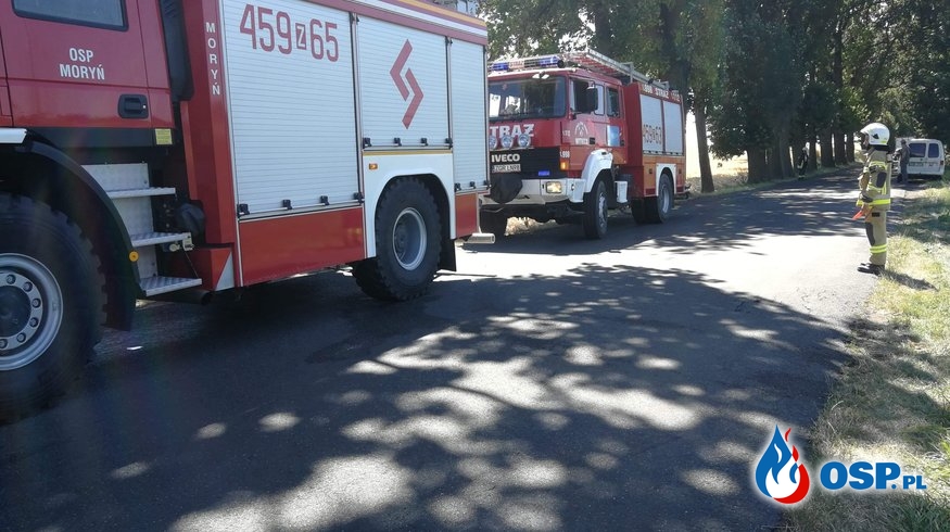 Pożar jęczmienia w Dolsku OSP Ochotnicza Straż Pożarna