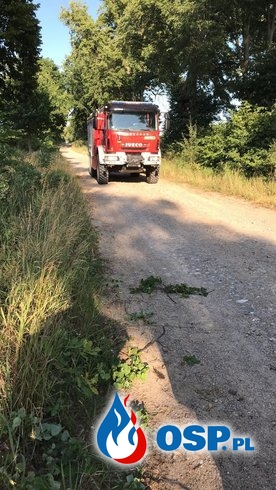 104/2019 Drzewo zablokowało dojazd do kopalni kruszywa OSP Ochotnicza Straż Pożarna