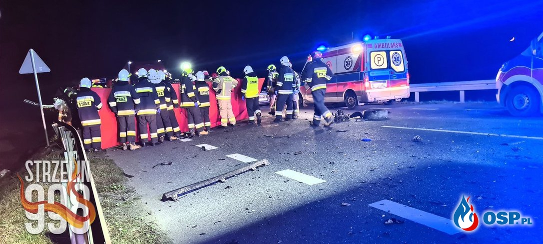 Dwie osoby zginęły, trzy są ranne. Czołowe zderzenie dwóch aut pod Brzegiem. OSP Ochotnicza Straż Pożarna