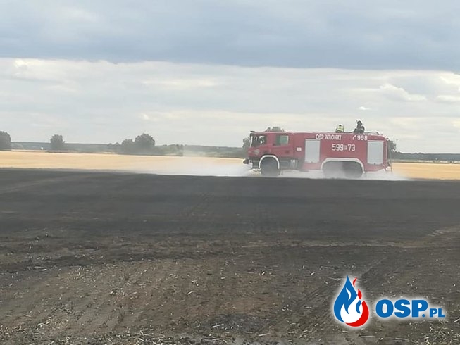 Pęckowo – pożar ścierniska OSP Ochotnicza Straż Pożarna