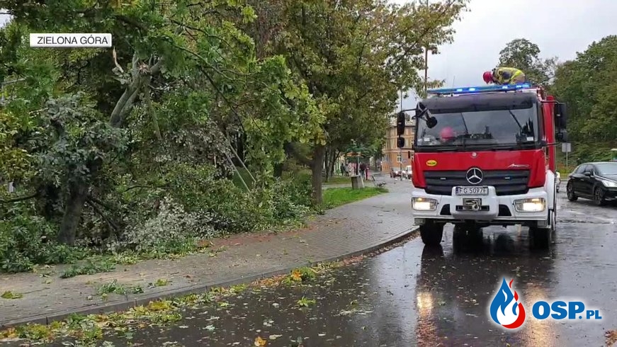 Tragiczny bilans burz i wichur nad Polską. Jedna osoba nie żyje, siedem rannych. OSP Ochotnicza Straż Pożarna