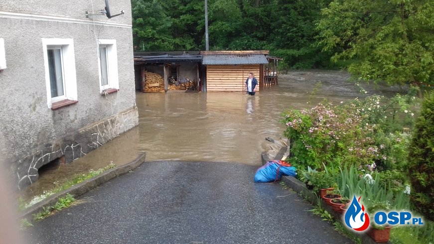 Wezbrany potok zalał domy w Domaszkowie. Strażacy pomagali mieszkańcom. OSP Ochotnicza Straż Pożarna