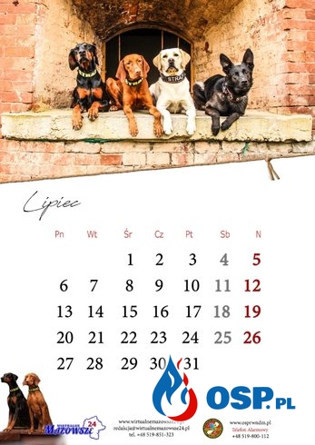 Strażacy wydali kalendarz z psami ratowniczymi OSP Ochotnicza Straż Pożarna