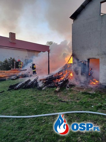 Dwa konie zginęły. Poranny pożar budynku gospodarczego. OSP Ochotnicza Straż Pożarna