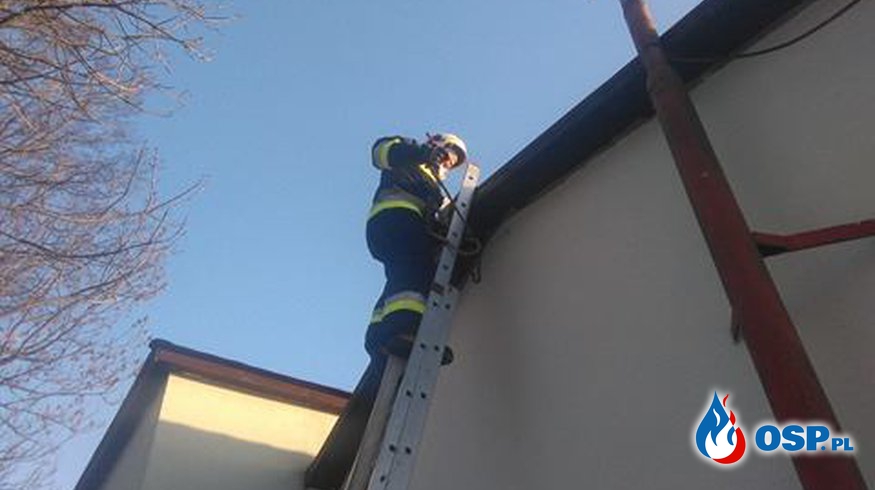 Ćwiczenia z drabiną OSP Ochotnicza Straż Pożarna