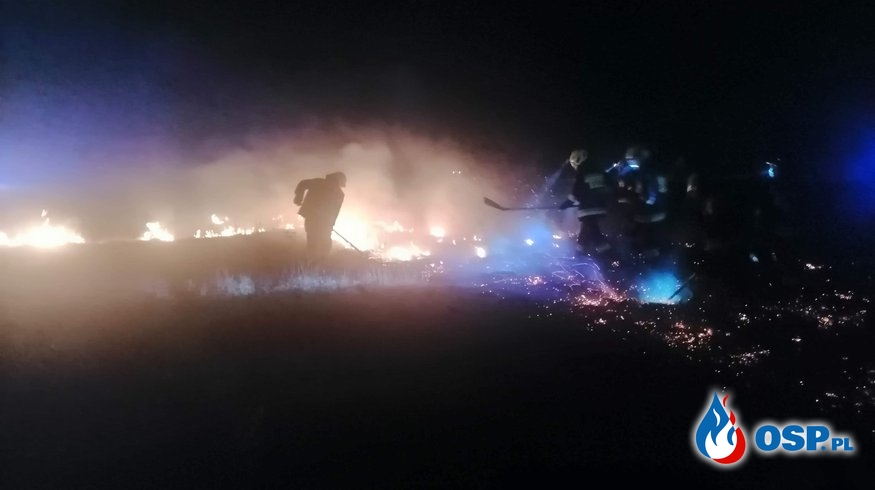 Duży pożar nieużytków rolnych na granicy Bóbrki i Niżnej Łąki OSP Ochotnicza Straż Pożarna