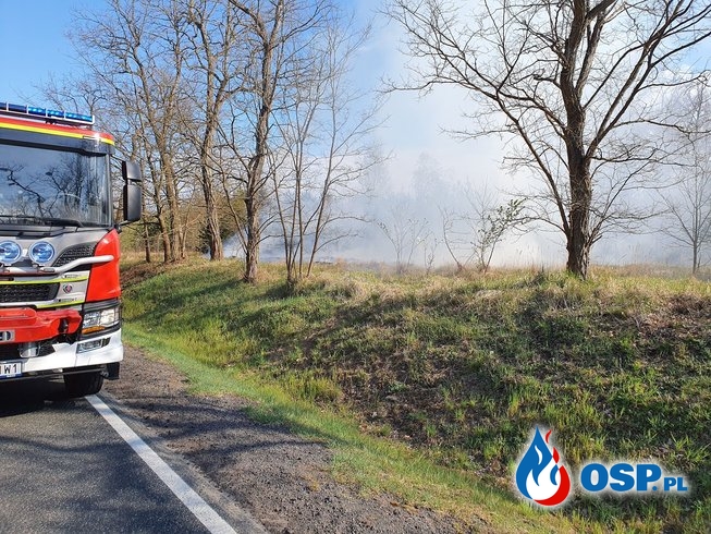 Pożar traw przy Drodze Krajowej nr.26 OSP Ochotnicza Straż Pożarna