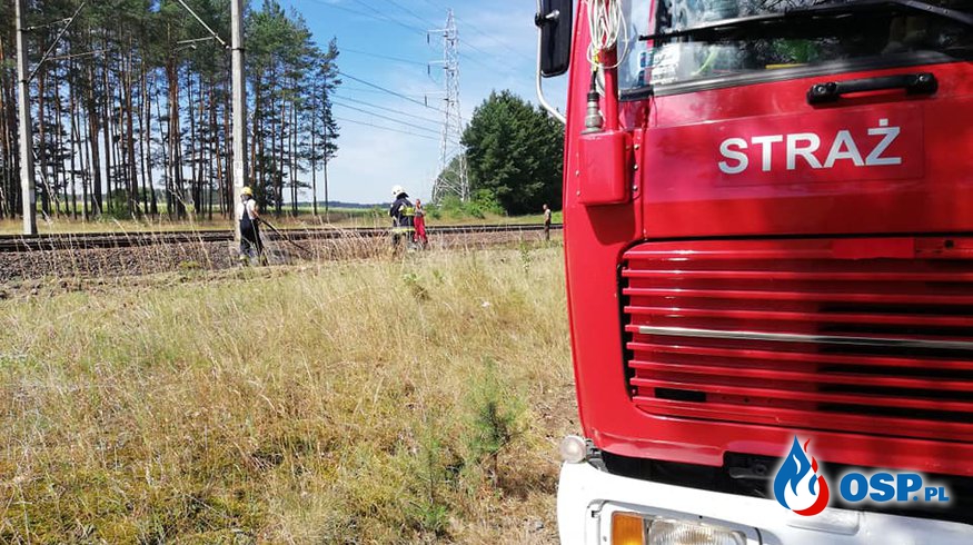 Pożar na nasypie kolejowym na trasie Bytnica-Budachów 29.06.2018 OSP Ochotnicza Straż Pożarna