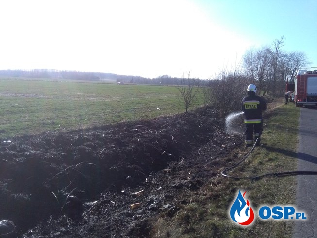 Pożar trawy w przydrożnym rowie OSP Ochotnicza Straż Pożarna