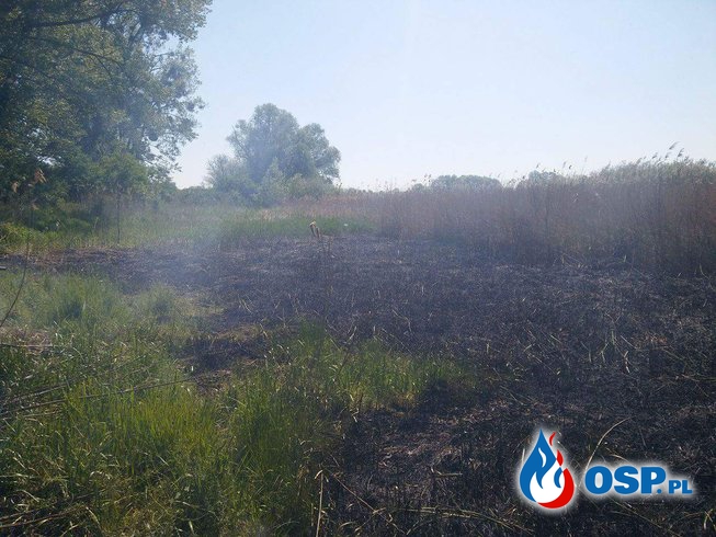Pożar trzciny w Starym Objezierzu OSP Ochotnicza Straż Pożarna