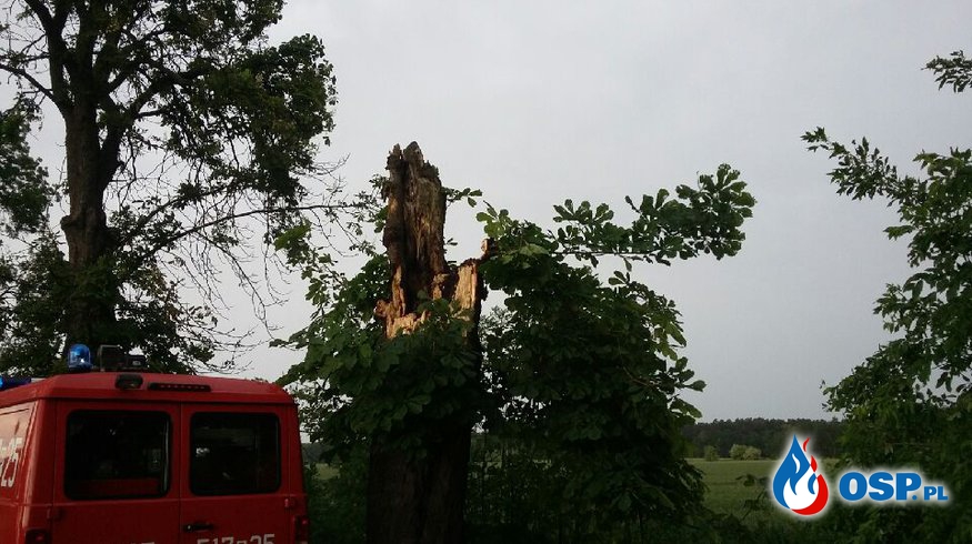 Dzisiejsza akcja - powalone drzewo OSP Ochotnicza Straż Pożarna
