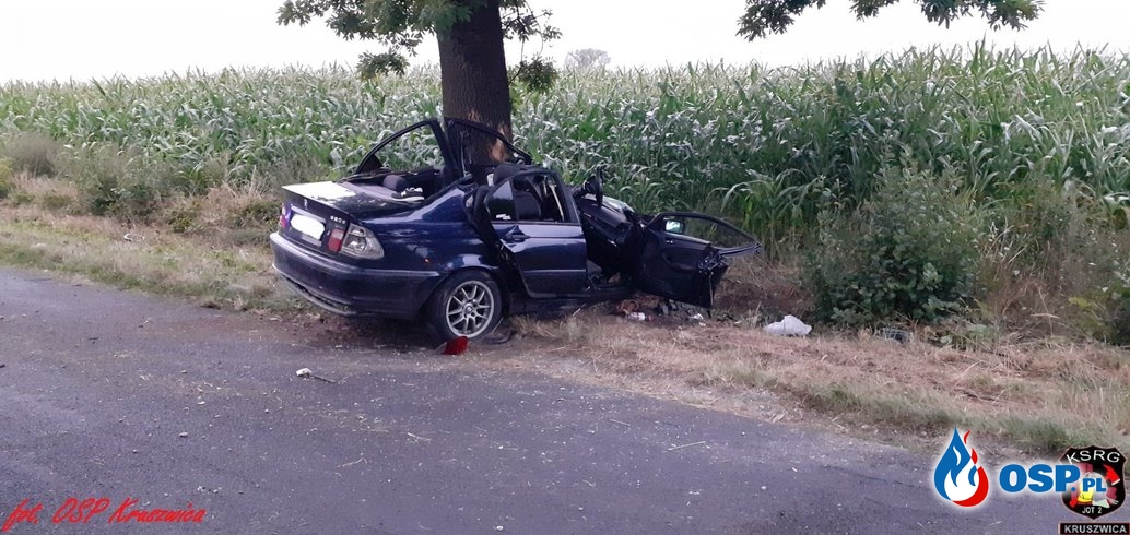 BMW roztrzaskało się na drzewie. Interweniowały 2 śmigłowce LPR. OSP Ochotnicza Straż Pożarna