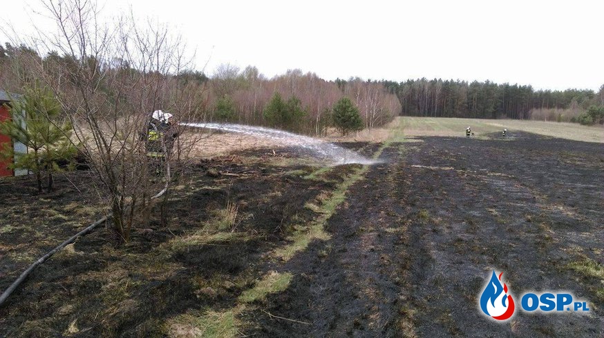 Wyjazd 10/2016 - pożar suchych traw OSP Ochotnicza Straż Pożarna