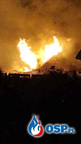 Drewniany dom stanął w ogniu. Lokatorka zdążyła uciec przed pożarem. OSP Ochotnicza Straż Pożarna