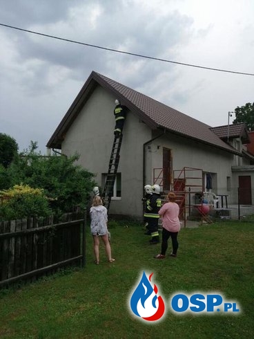 Nietypowa akcja strażaków. Ratowali pisklęta. OSP Ochotnicza Straż Pożarna